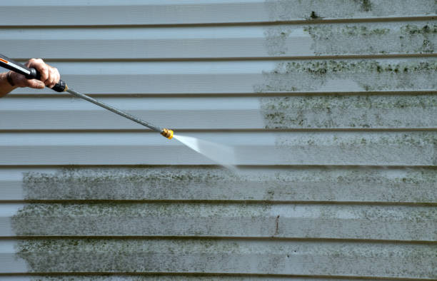 Professional Pressure Washing in Land O Lakes, FL