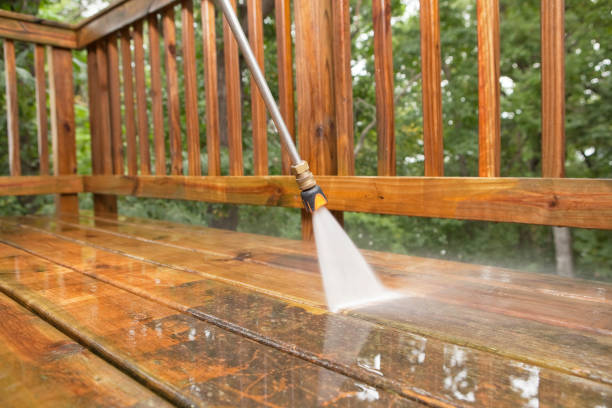 Best Parking Lot and Garage Cleaning  in Land O Lakes, FL